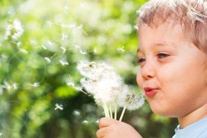 La alergia y sus Remedios Naturales