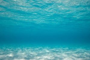 El Agua de Mar: Beneficios y Propiedades
