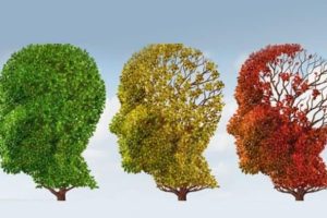 Remedios Naturales para el Alzheimer