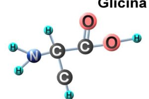 Glicina, Beneficios, usos y Contraindicaciones