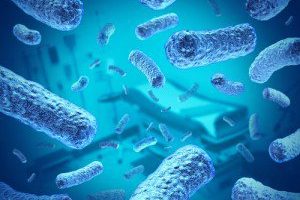 Probioticos Humanos: Lactobacilus Helveticus