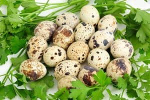 Los Beneficios de los Huevos de Codorniz