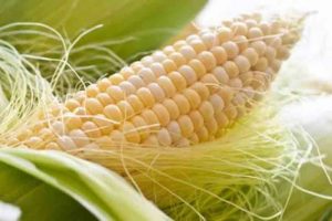 Barbas de Maiz: Usos, Beneficios y Contraindicaciones