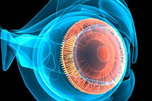Medicina Natural para el Glaucoma